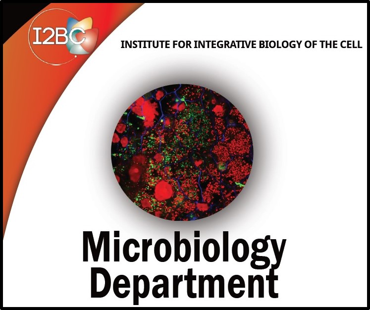 Department of Microbiology